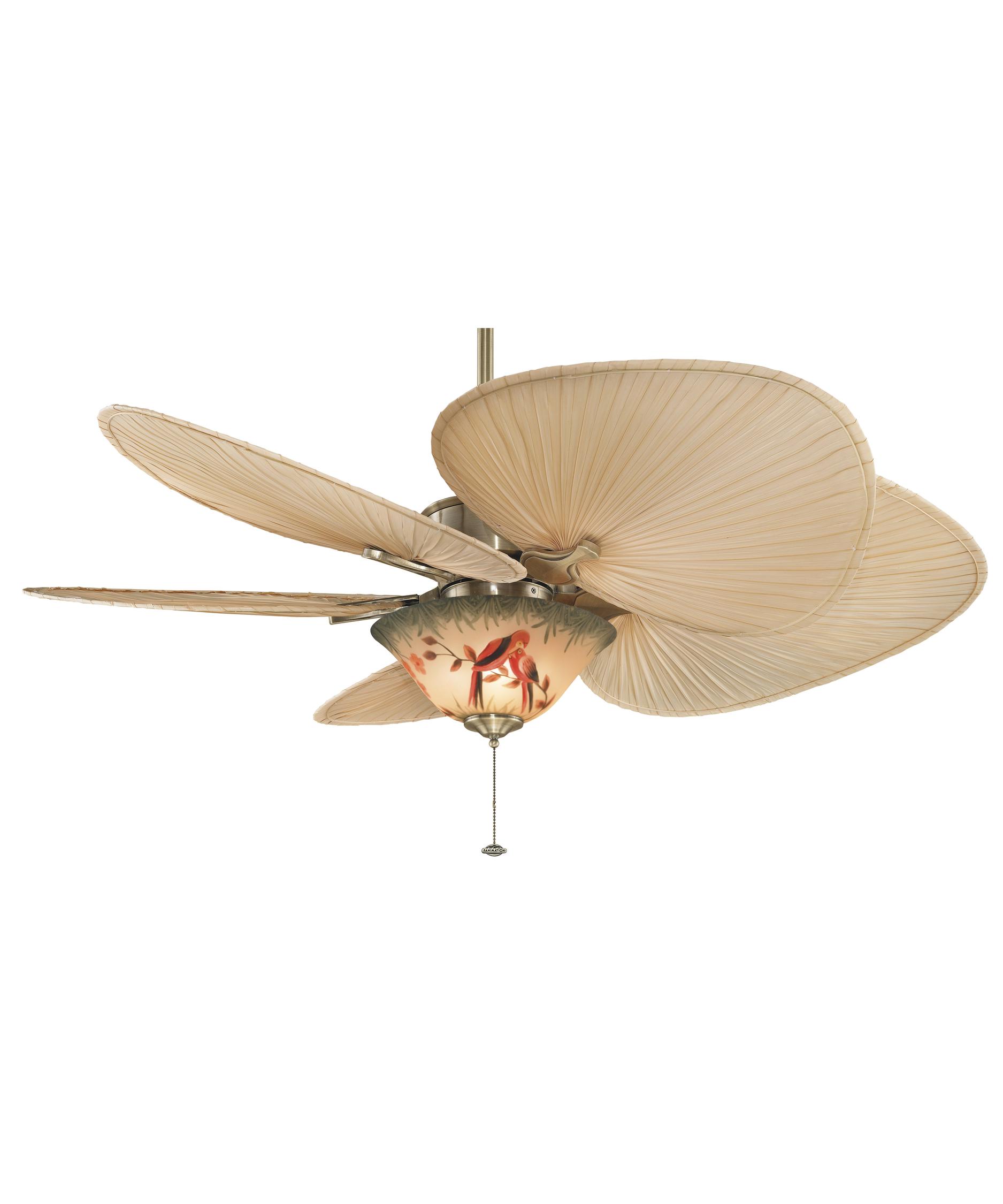 fanimation mad3250 islander 52 inch 5 blade ceiling fan | capitol fanimation mad3250 islander 52 inch 5 blade ceiling fan | capitol